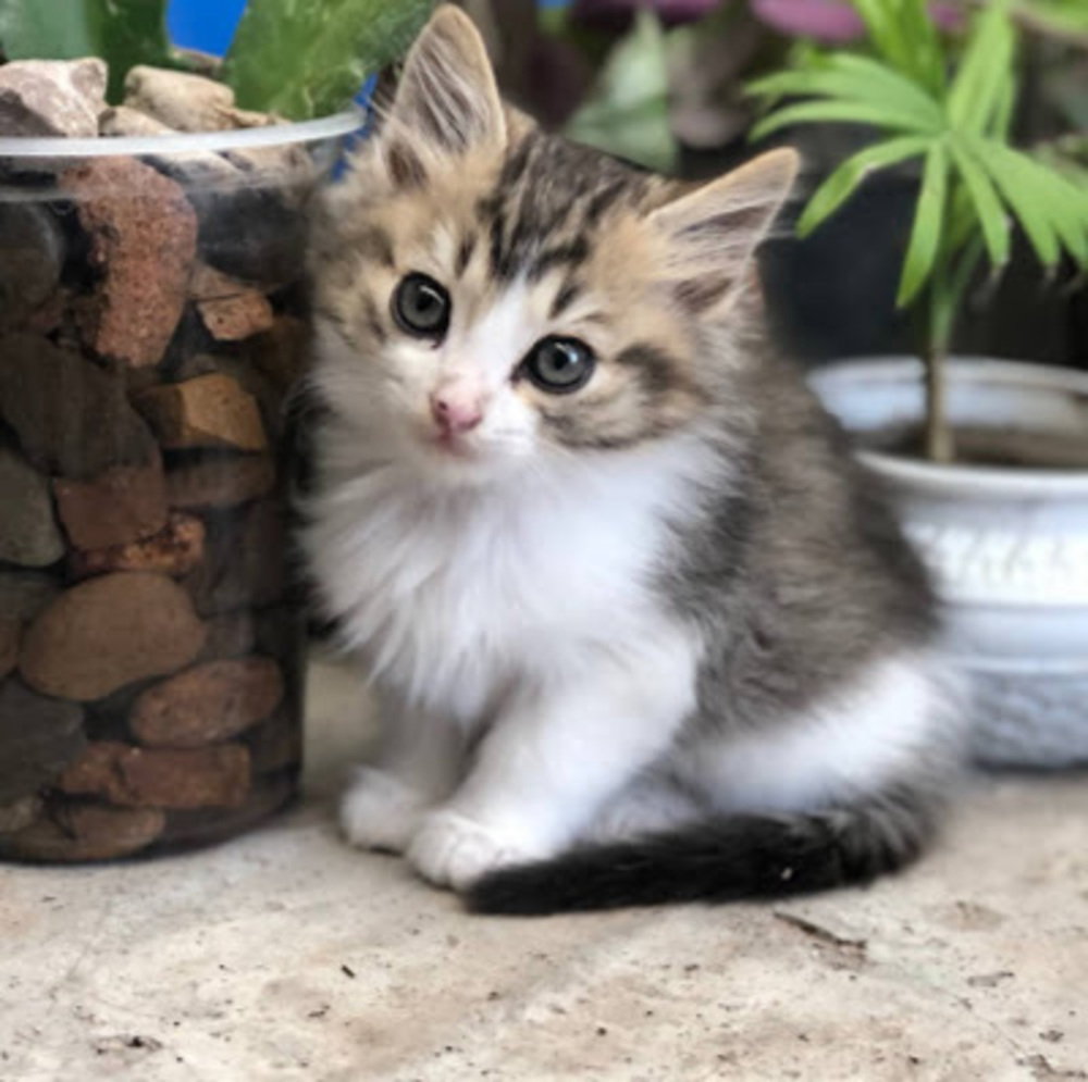 Meet your Posher, María